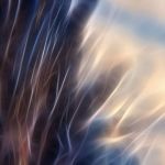 0070 IMG 5449-Bearbeitet